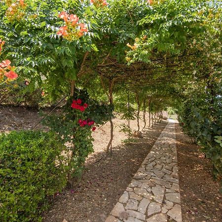 Agallis Corfu Residence Σωκράκι Εξωτερικό φωτογραφία