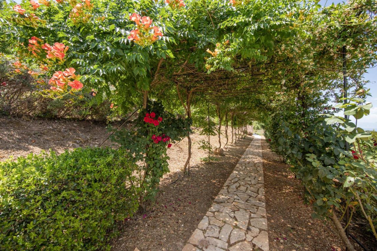 Agallis Corfu Residence Σωκράκι Εξωτερικό φωτογραφία