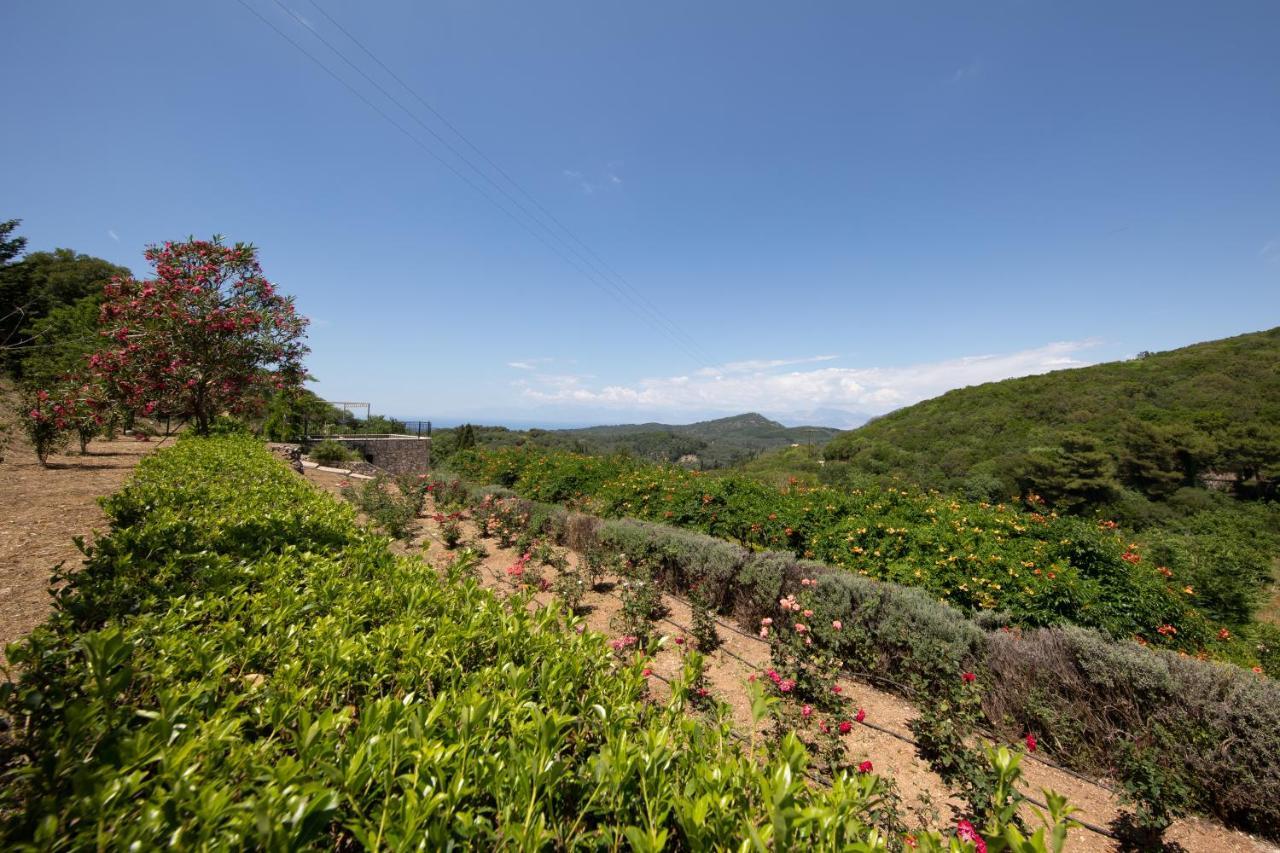 Agallis Corfu Residence Σωκράκι Εξωτερικό φωτογραφία